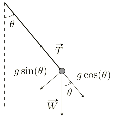 The physical model for an ideal pendulum.